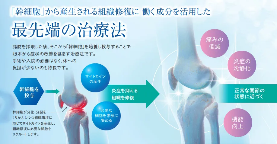 下肢関節の痛みでお悩みの方へ